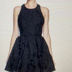 Alice and Olivia Tevin floral appliqué dress.
